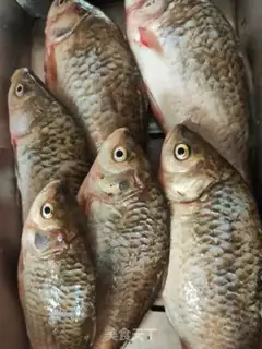 Make Red-burned mackerel step 0