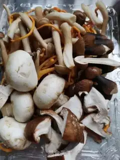 Make Five-colour mushroom soup step 1