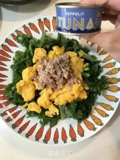 Make Tuna vegetable salad step 8