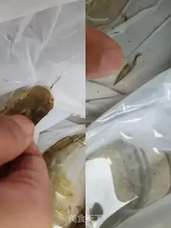 Make Tasty house shrimp step 0
