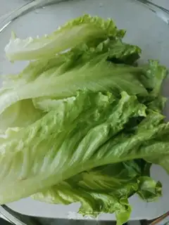 Make Black pepper chicken steak sandwich step 0