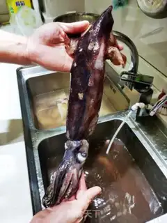 Make Roasted squid step 0