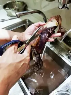 Make Roasted squid step 1
