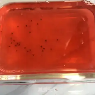 Make Oatmeal flamingo step 5