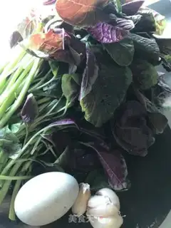 Make The egg boils step 0