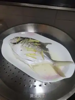 Make Squeeze and veal step 4