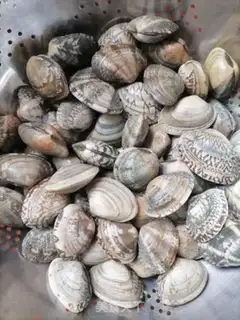 Make Fried Armour step 0