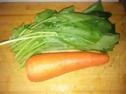 Make A spinach mix fan step 0