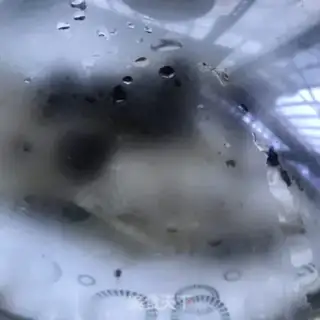 Make Spicy bass step 5
