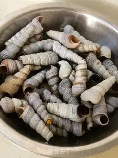 Make Sour kite conch step 1