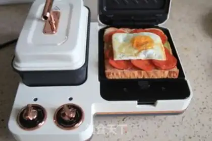 Make Salami sandwich step 6