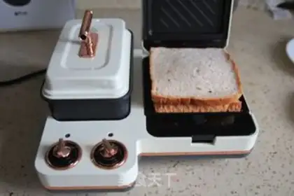 Make Salami sandwich step 9