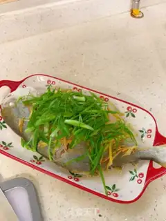 Make Steamfish step 4