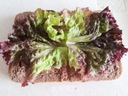 Make Quick-hand sandwich step 3