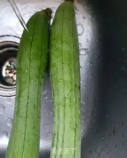 Make Toad melon soup step 0