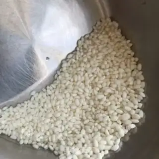Make Lily