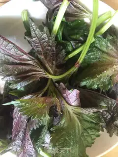 Make cucumber pickles step 0