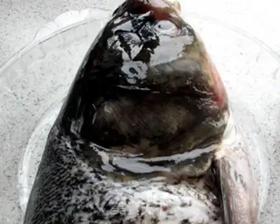 Make They burn fish heads step 0