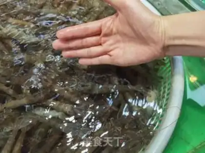 Make Shrimp step 0