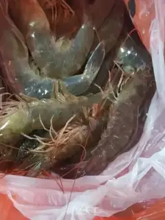 Make Curry shrimp step 1