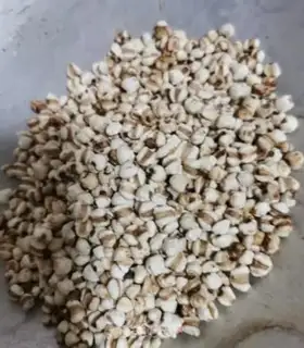 Make Red bean rice date water step 1