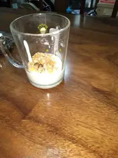 Make Yogurt step 1