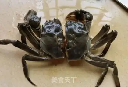 Make Beer spicy crabs step 0