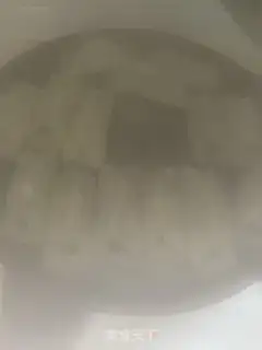 Make pan paste step 3