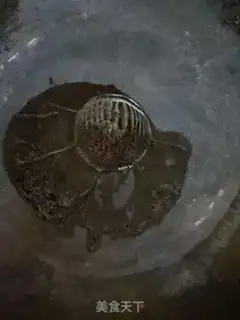 Make A garlic fan step 1