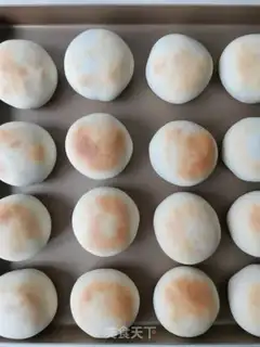 Make Salted yogurt step 10