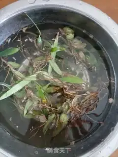 Make Boiled stone olive water step 0