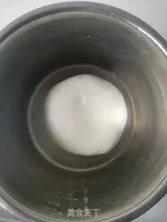 Make What a fresh dumpling step 0