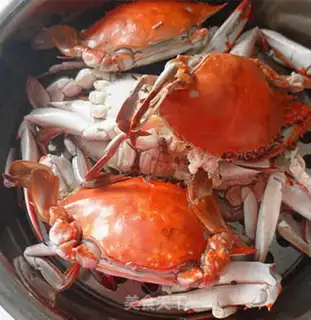 Make Fresh sea crabs step 5