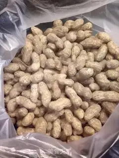 Make Cook peanuts step 0