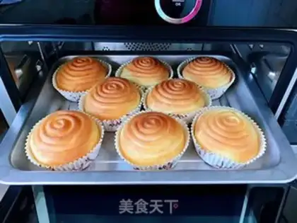 Make Fancy buns step 17