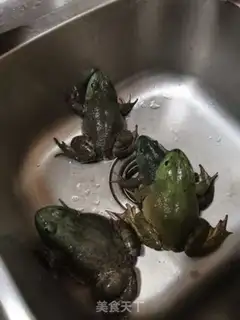 Make Frog step 0