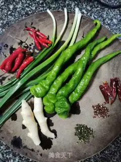 Make Frog step 6