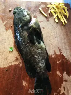 Make Speculin soup step 0