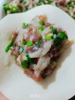 Make Big meat bun step 10