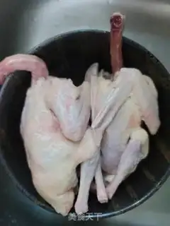 Make Soy pigeons step 0
