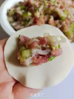 Make Celery pork dumplings step 4
