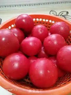 Make Good way to store tomatoes step 0