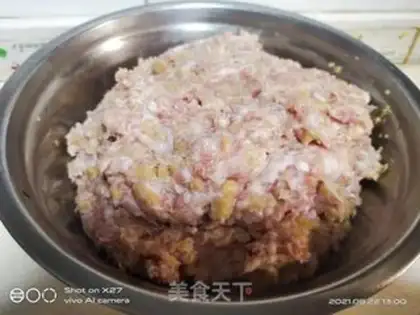 Make radish and meat dumplings step 2