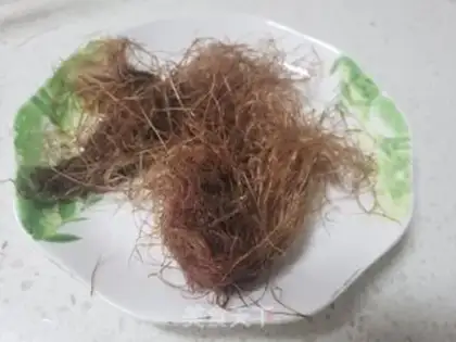 Make Cream needle corn shaving tea step 0