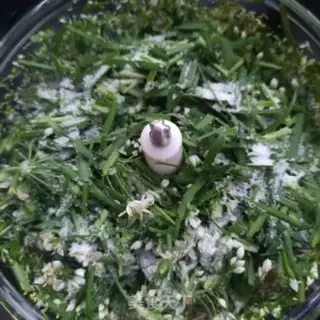 Make Plum sauce step 6