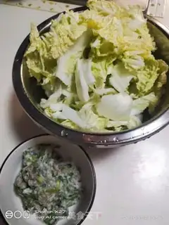 Make Meatloaf and cabbage step 0
