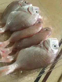 Make Jealousy burning of redfish step 1