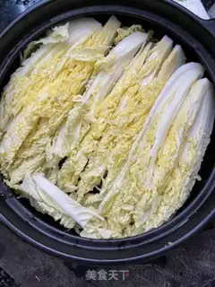 Make Cabbage fan step 8