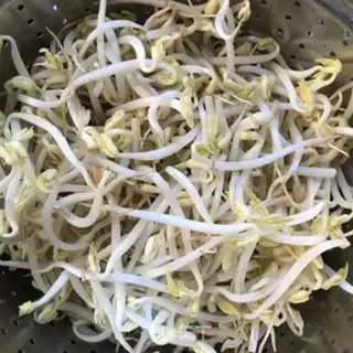 Make Oily bean sprouts step 1