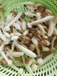 Make Three fresh tofu step 1